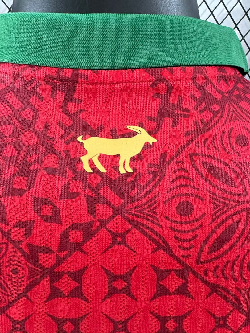 Portugal 24/25 Special Edition Football Shirt