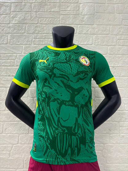 Senegal 24/25 Away Football Shirt