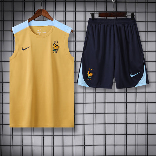 France 24/25 Training Shirt