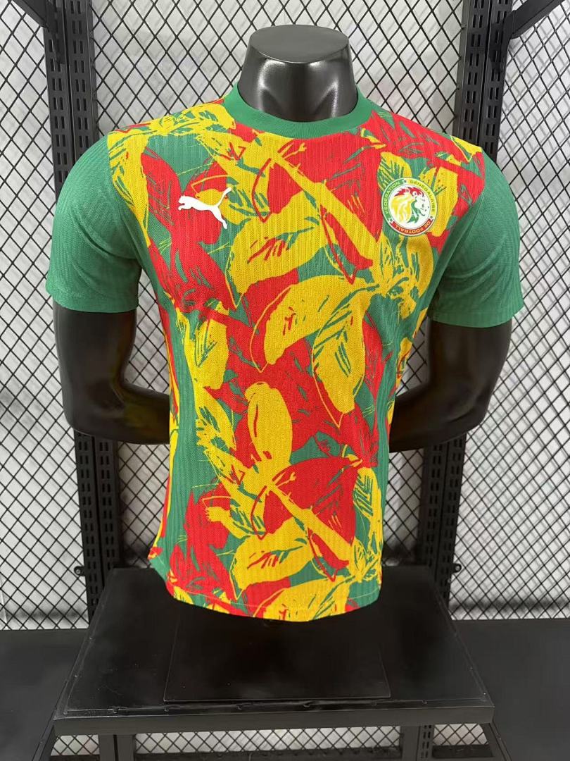 Senegal 24/25 Special Edition Football Shirt