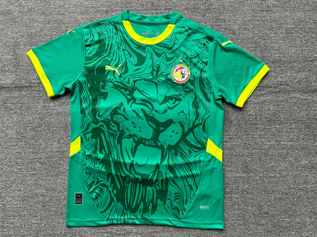Senegal 2025 Away Football Shirt