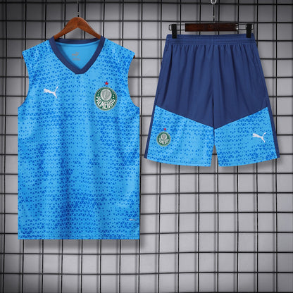 Palmeiras 24/25 Football Shirt