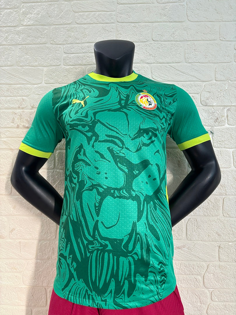Senegal 24/25 Away Football Shirt