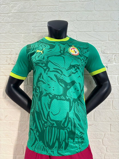 Senegal 24/25 Away Football Shirt