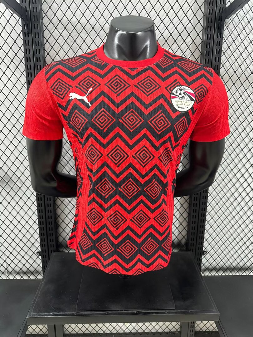 Japan 24/25 Special Edition Football Shirt