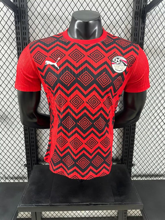 Japan 24/25 Special Edition Football Shirt