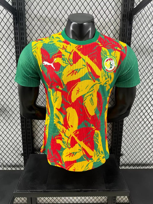 Senegal 24/25 Special Edition Football Shirt