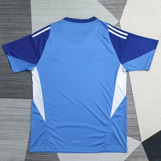 Juventus 25/26 Goalkeeper Football Shirt