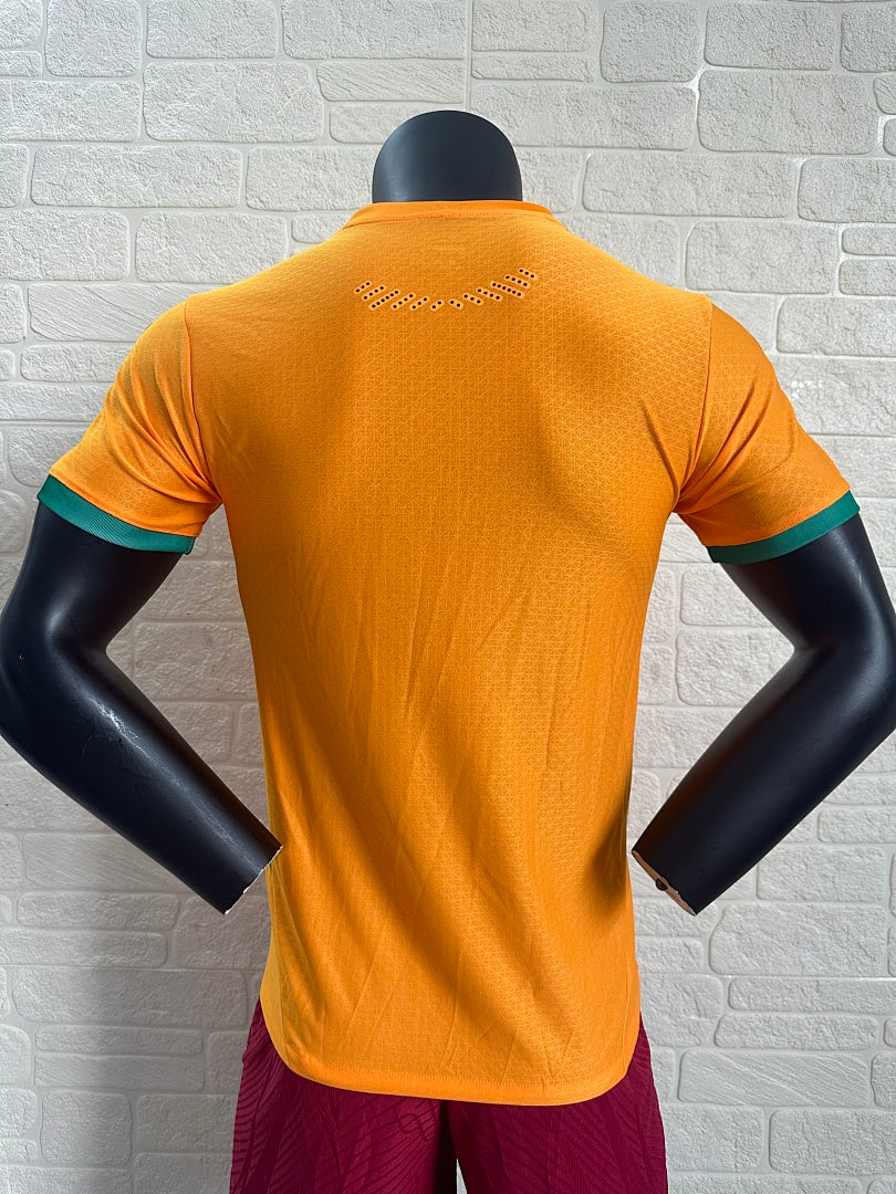 Ivory Coast 24/25 Home Football Shirt