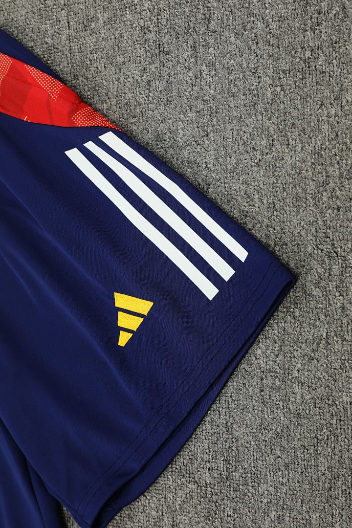 Spain 24/25 Training Shirt