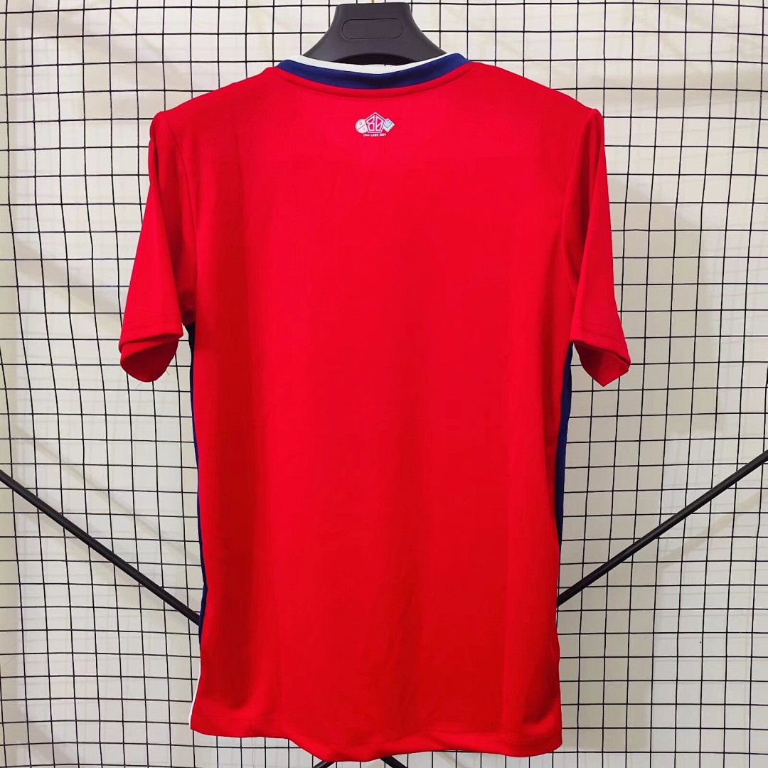 Lille 24/25 Home Football Shirt