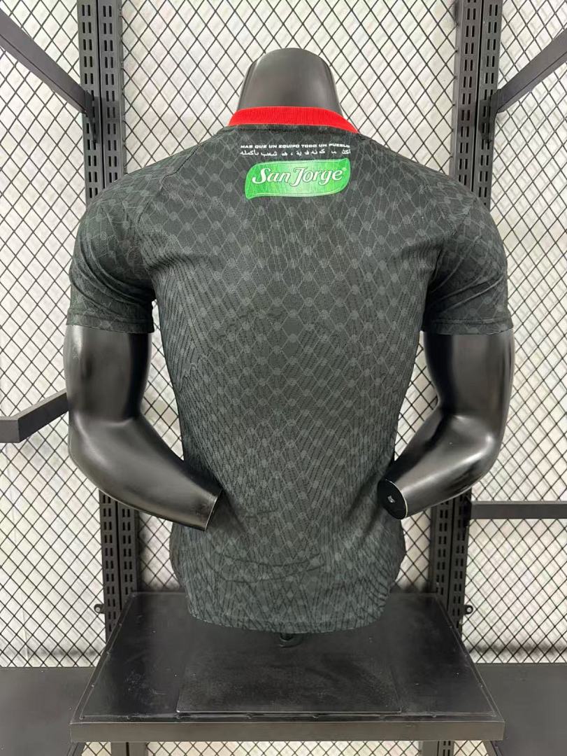 Palestine 25/26 Away Football Shirt