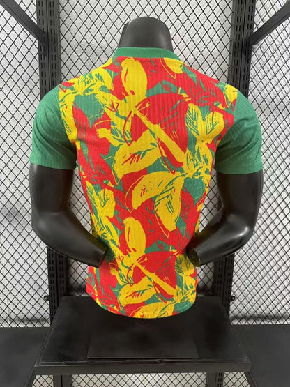 Senegal 24/25 Special Edition Football Shirt