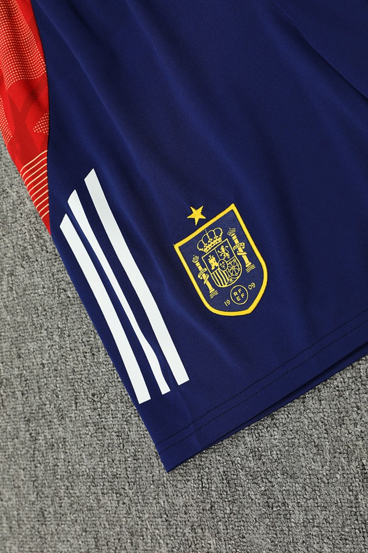 Spain 24/25 Training Shirt