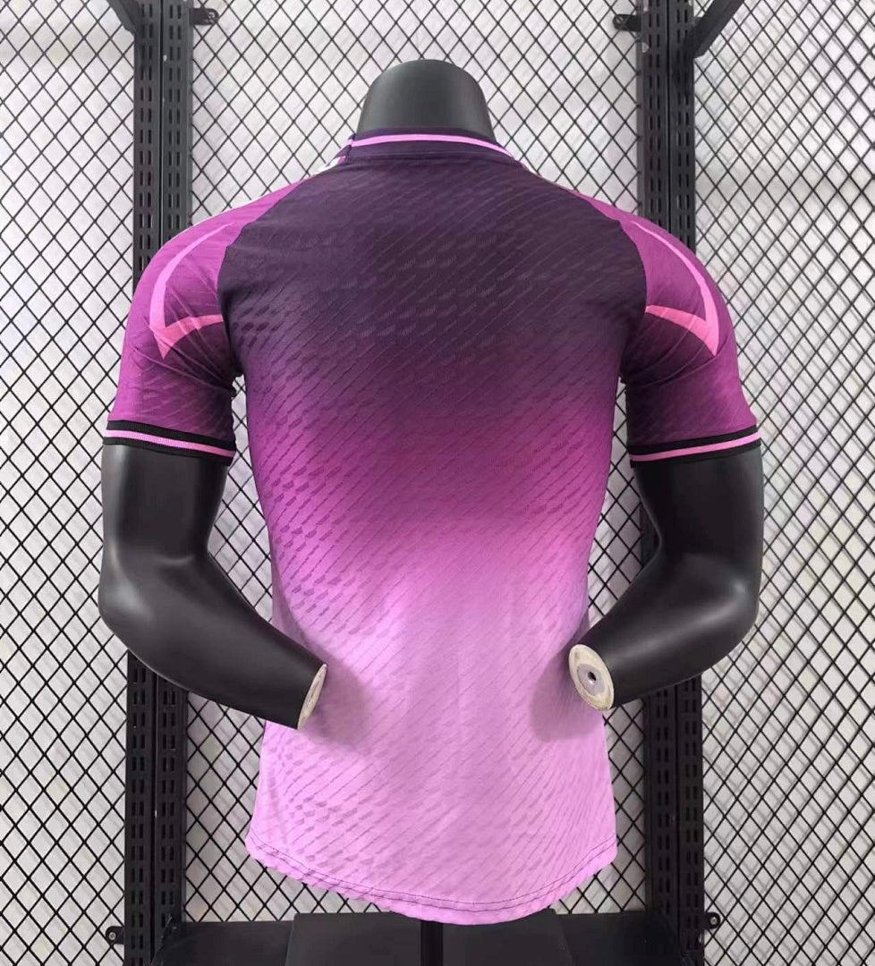 Japan 24/25 Special Edition Football Shirt