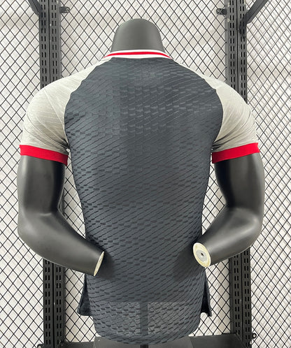 Japan 24/25 Special Edition Football Shirt