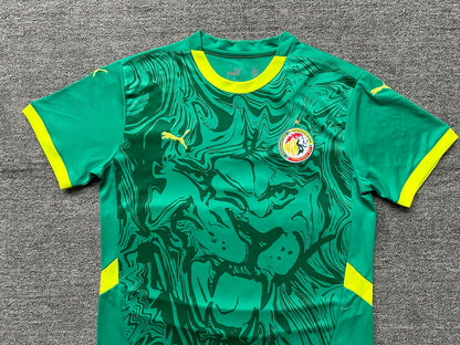 Senegal 2025 Away Football Shirt