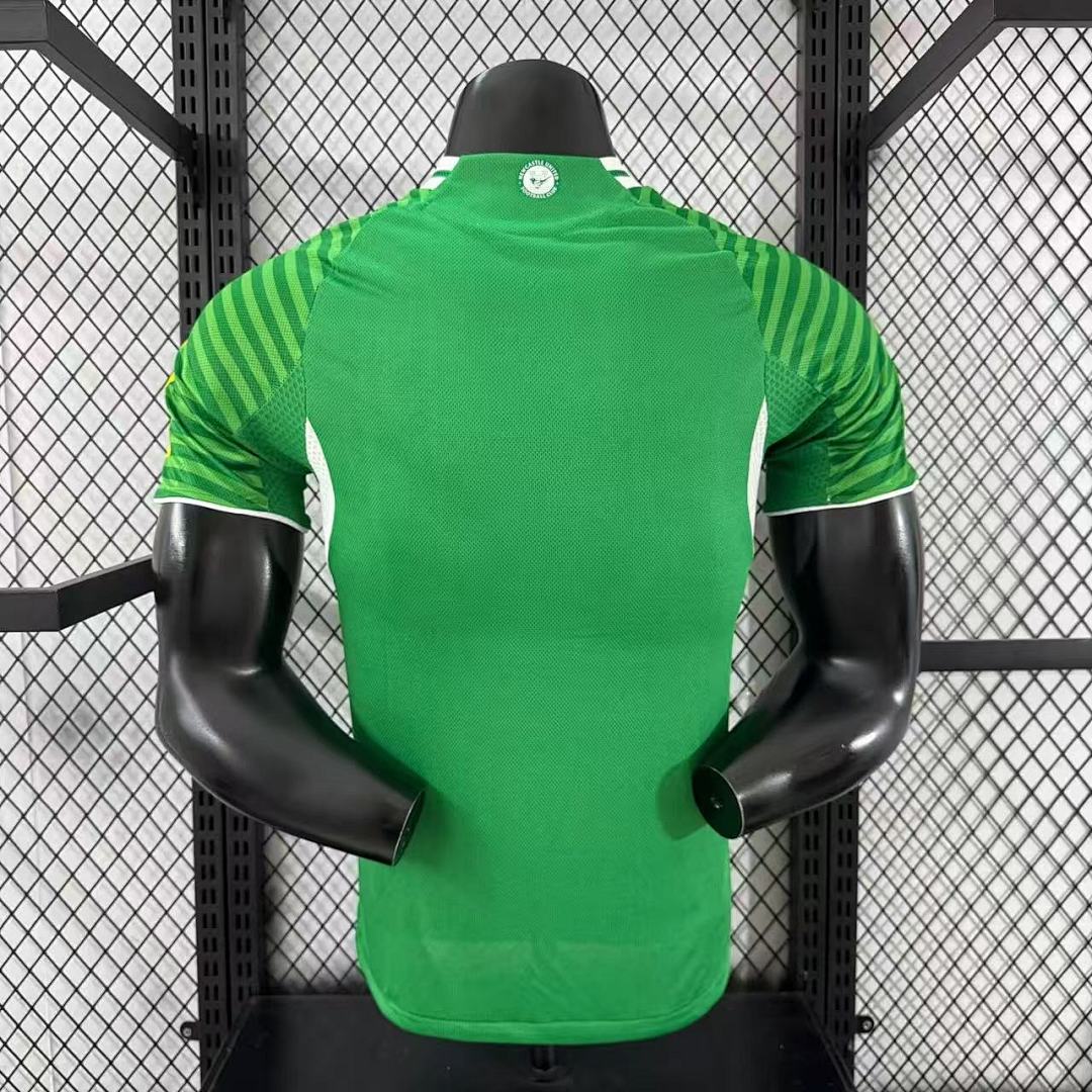 Newcastle United 25/26 Away Football Shirt
