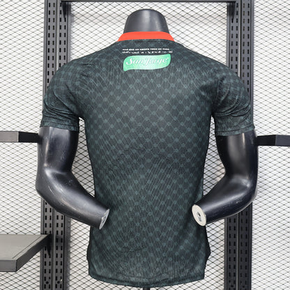 Palestine 25/26 Away Football Shirt