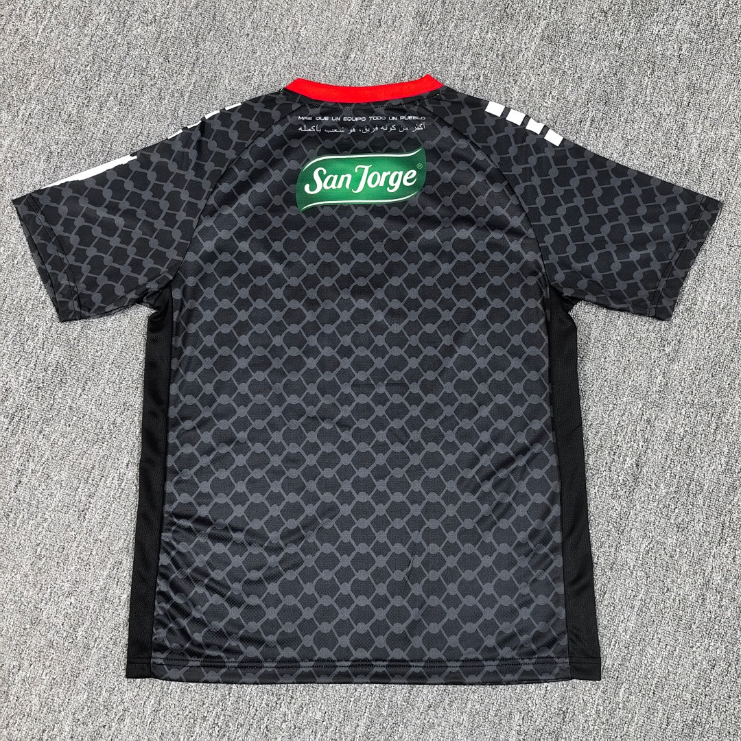 Palestine 25/26 Away Football Shirt