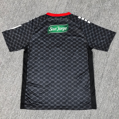 Palestine 25/26 Away Football Shirt
