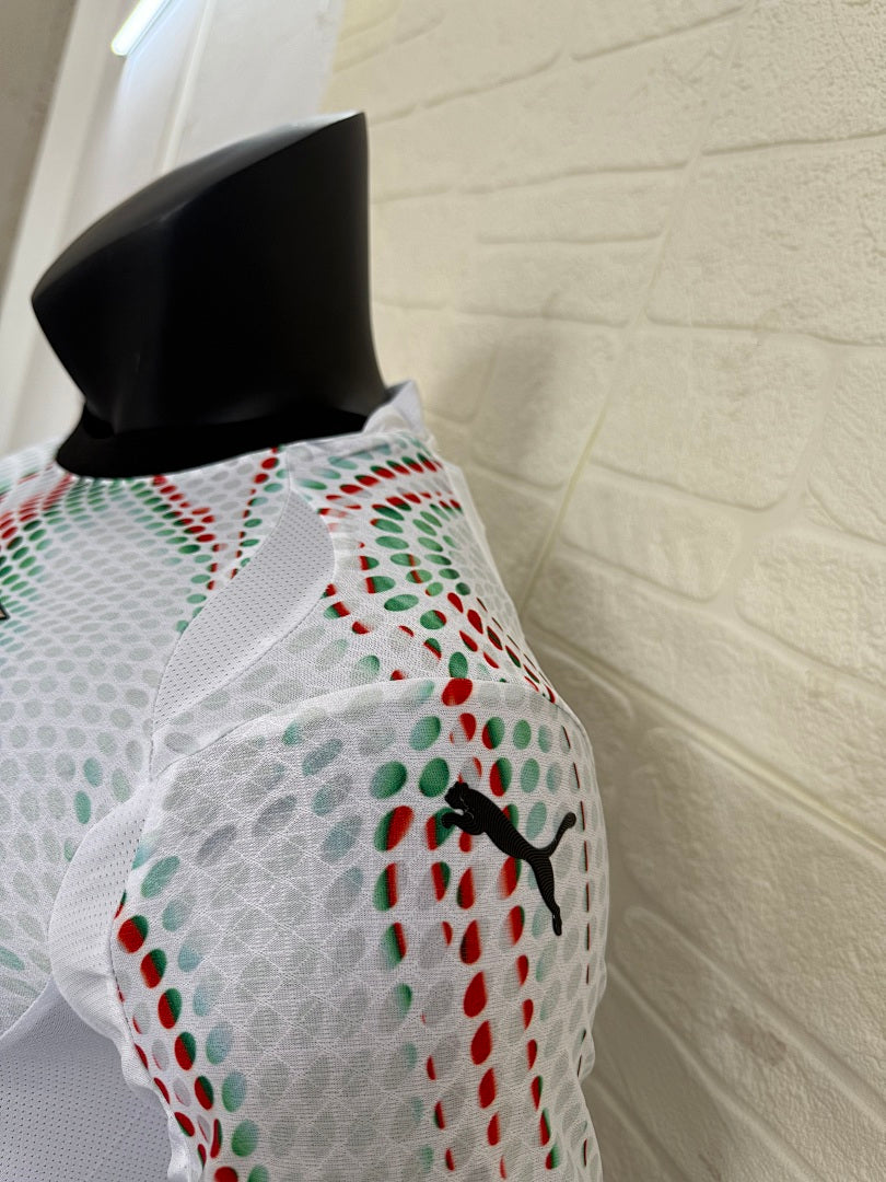 Portugal 25/26 Away Long Sleeve Football Shirt