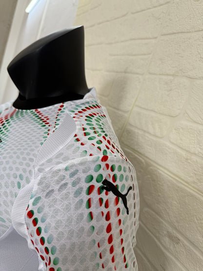 Portugal 25/26 Away Long Sleeve Football Shirt