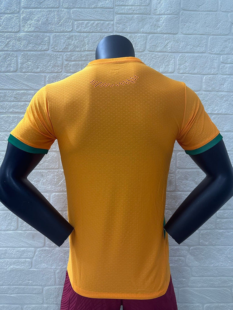 Ivory Coast 24/25 Home Football Shirt