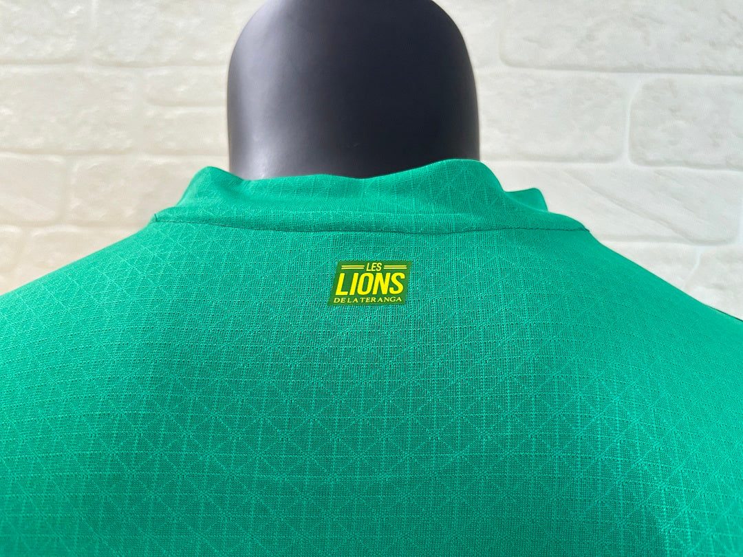Senegal 24/25 Away Football Shirt