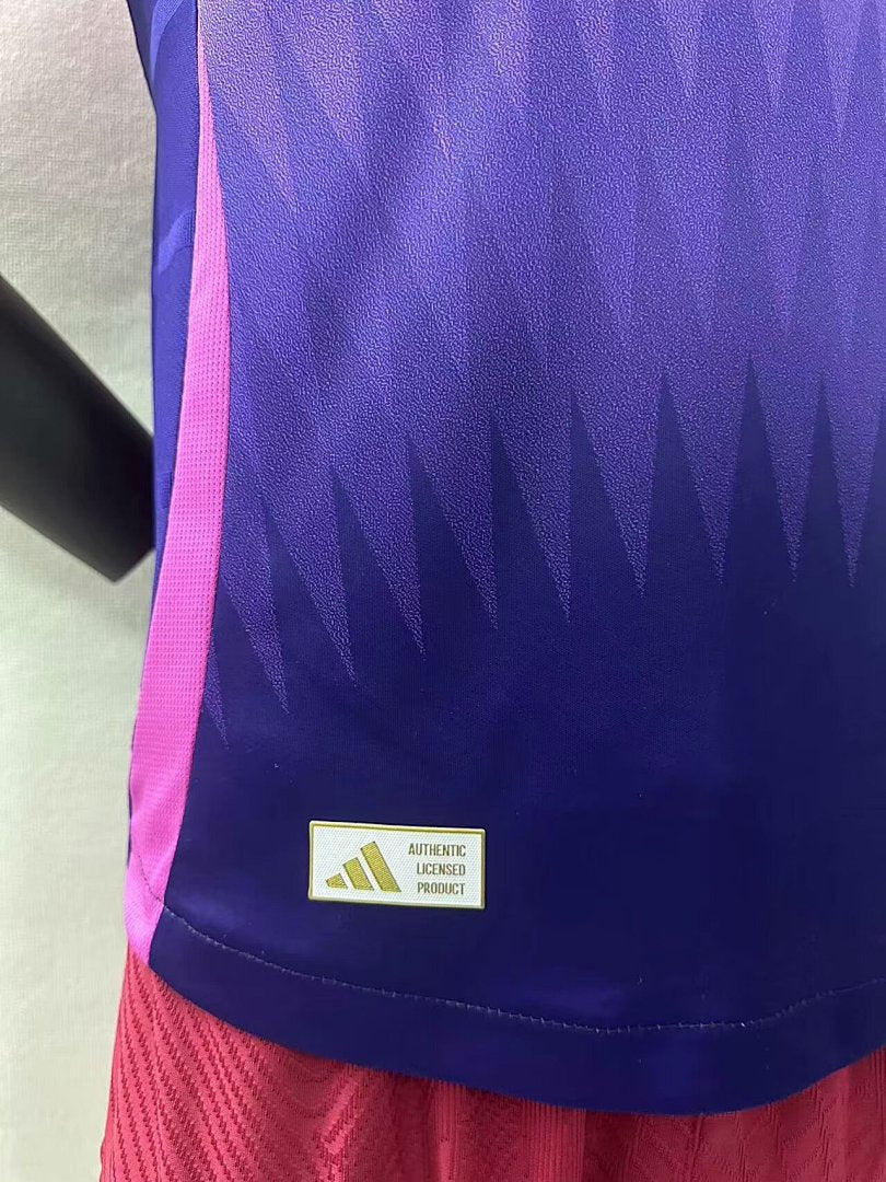 Germany 24/25 Away Football Shirt