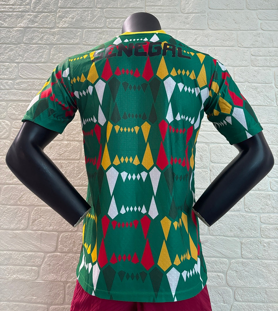 Senegal 24/25 Training Shirt