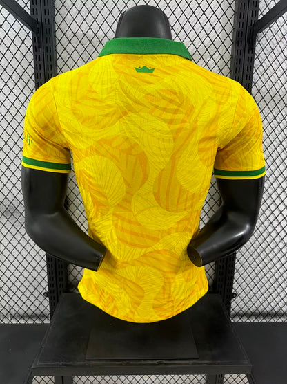 Brazil 24/25 Special Edition Football Shirt