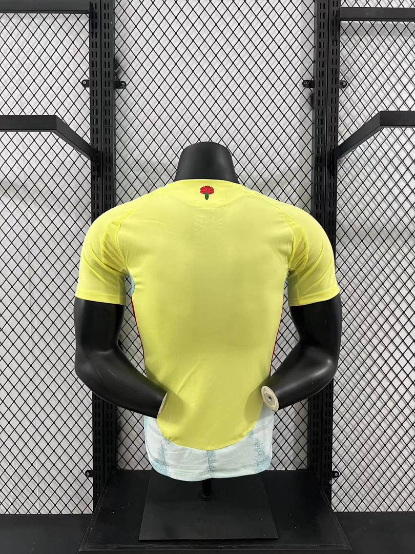 Spain 2024 Away Football Shirt