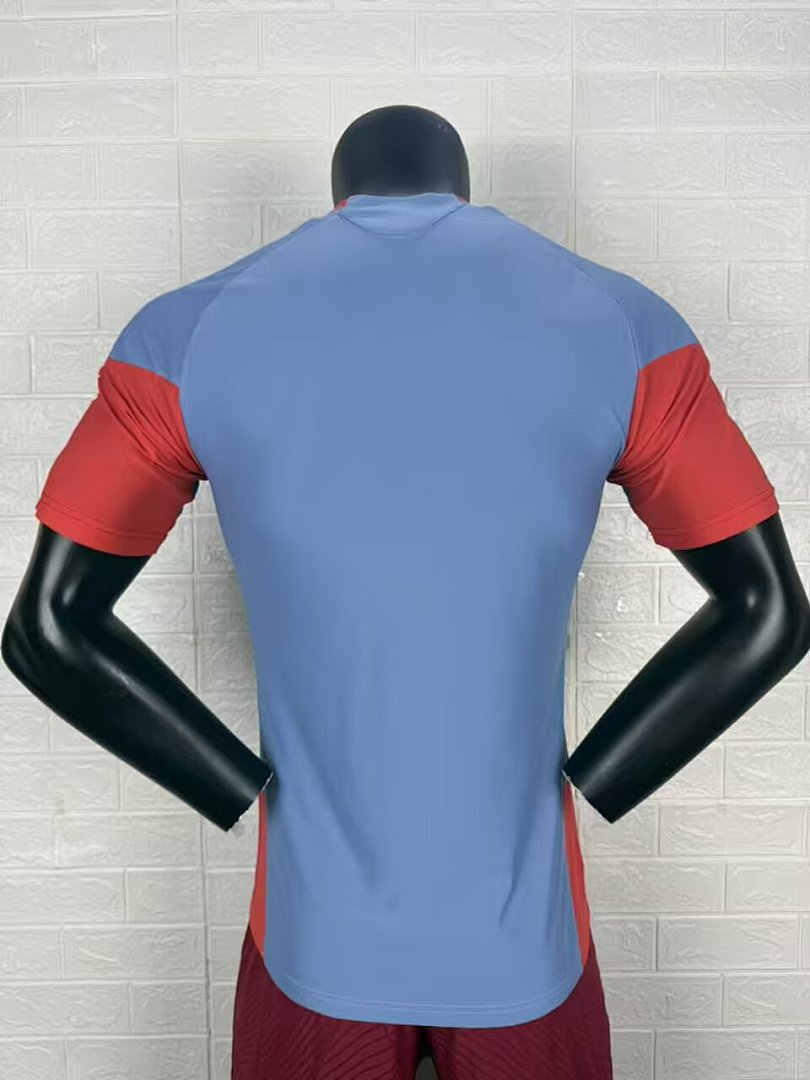 Japan 26/27 Training Shirt