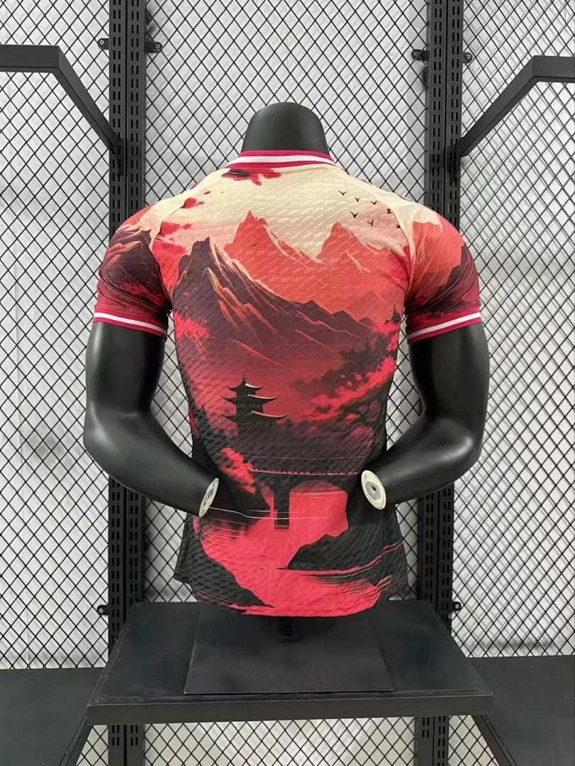 Japan 24/25 Special Edition Football Shirt
