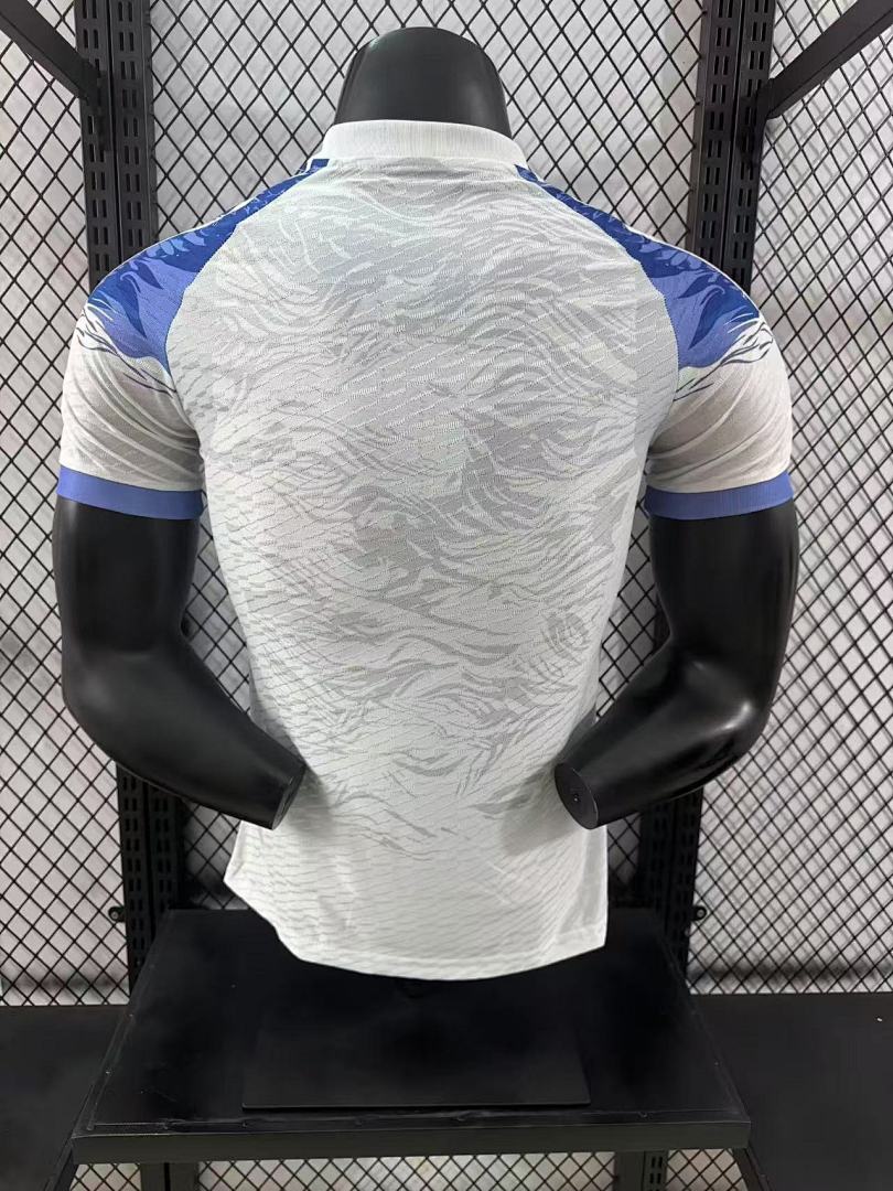 Japan 24/25 Special Edition Football Shirt
