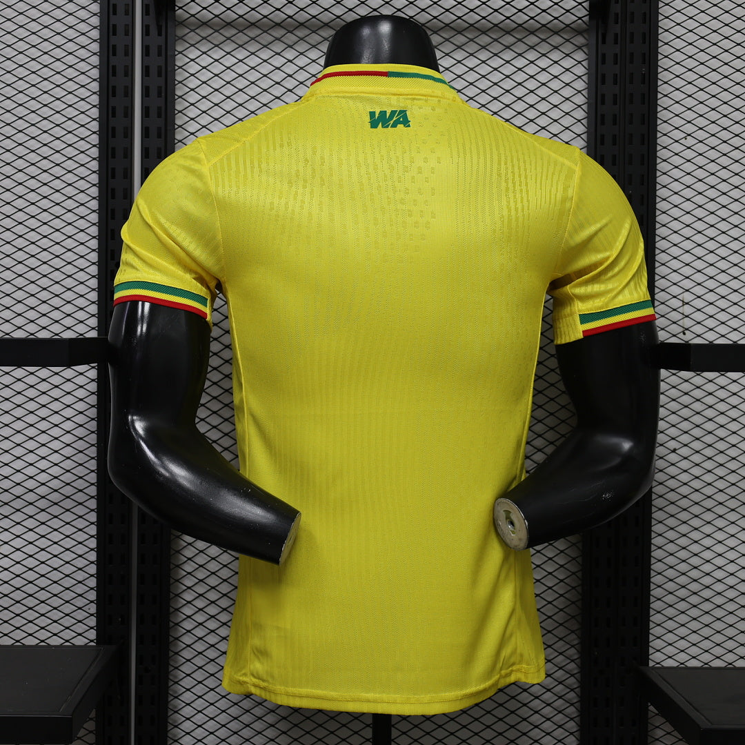 Mali 25/26 Away Yellow Player Version Football Shirt