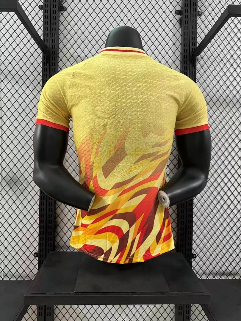 Spain 24/25 Special Edition Football Shirt