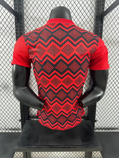 Japan 24/25 Special Edition Football Shirt