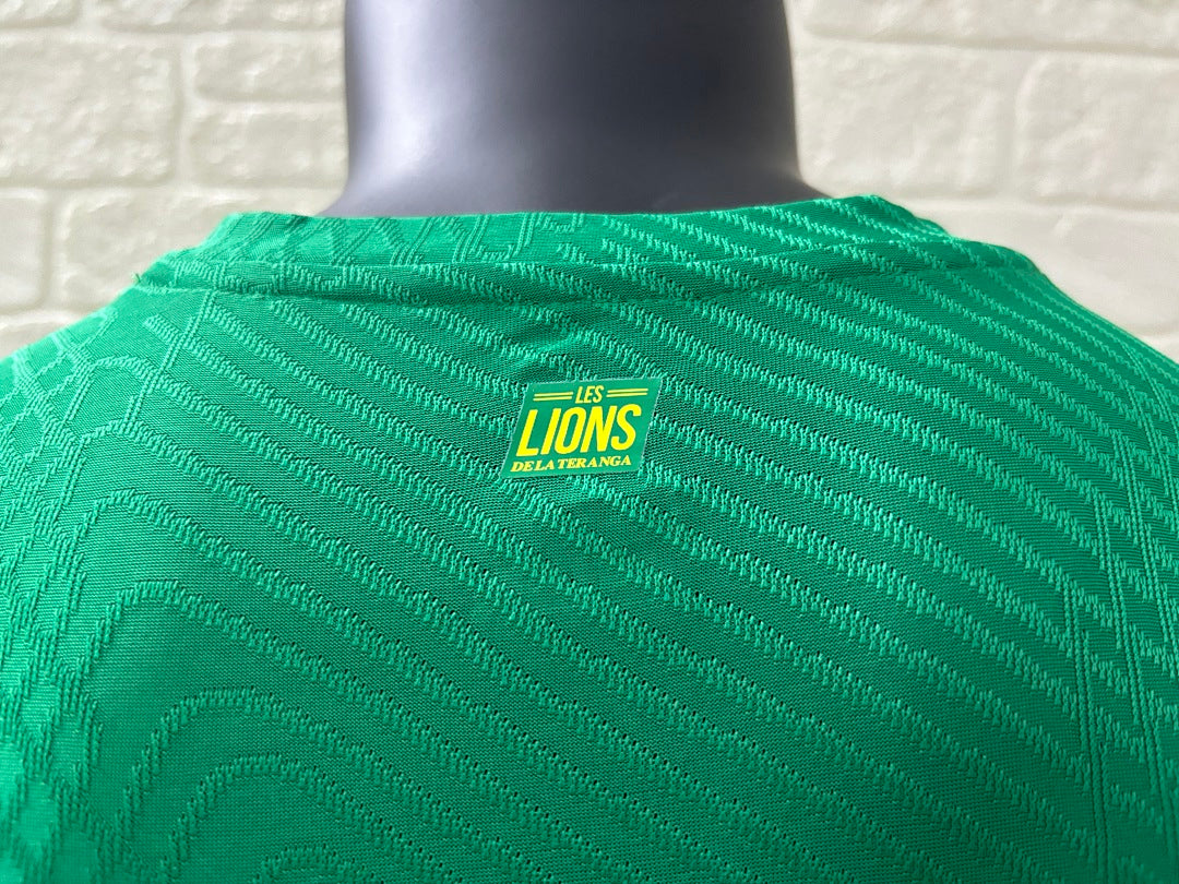 Senegal 24/25 Away Football Shirt