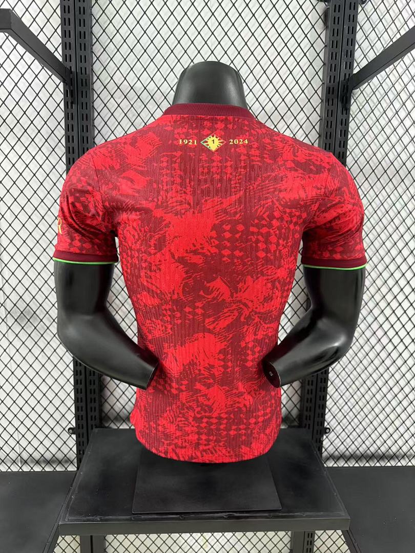 Japan 24/25 Special Edition Football Shirt