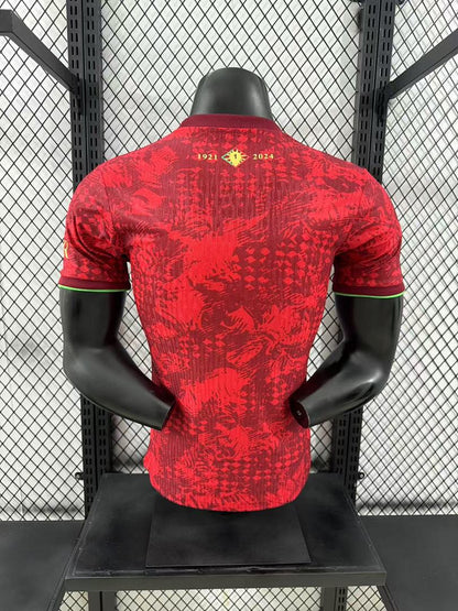Japan 24/25 Special Edition Football Shirt