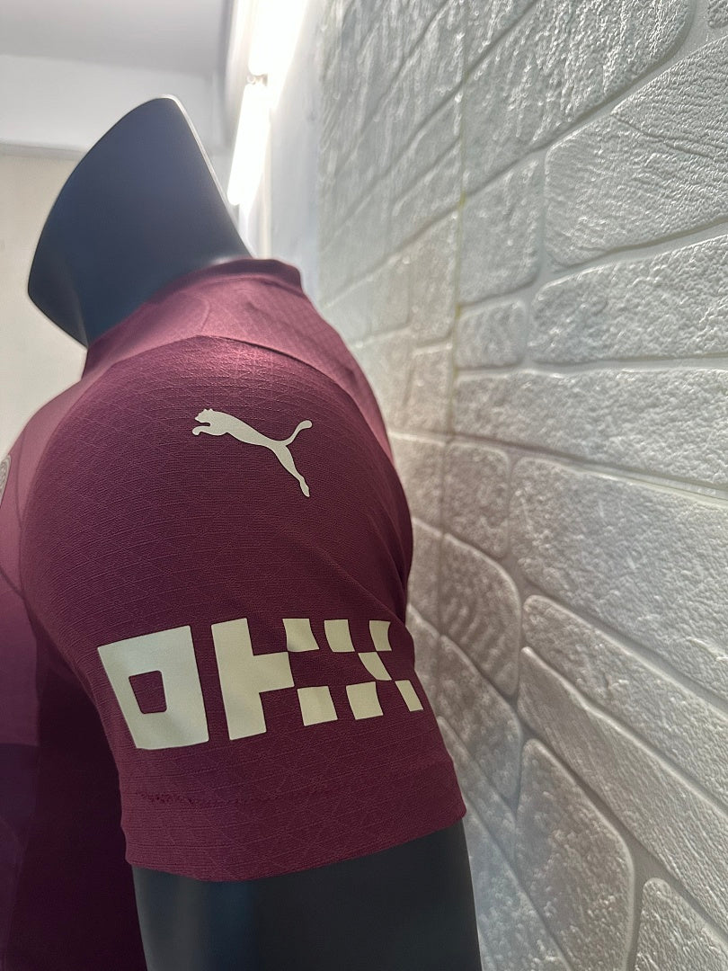 Manchester City 24/25 Training Shirt