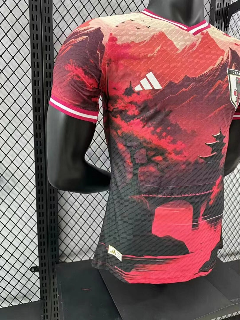 Japan 24/25 Special Edition Football Shirt