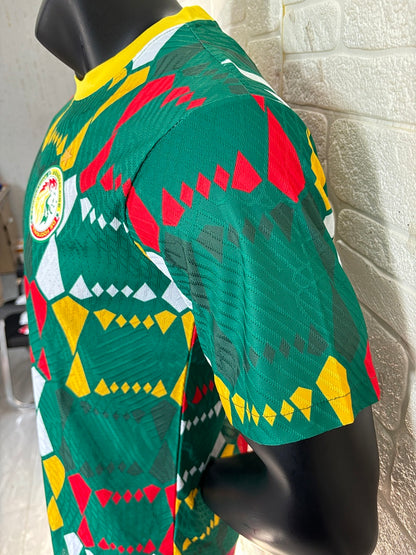 Senegal 24/25 Training Shirt