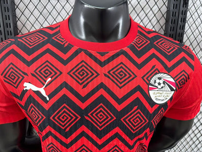 Japan 24/25 Special Edition Football Shirt