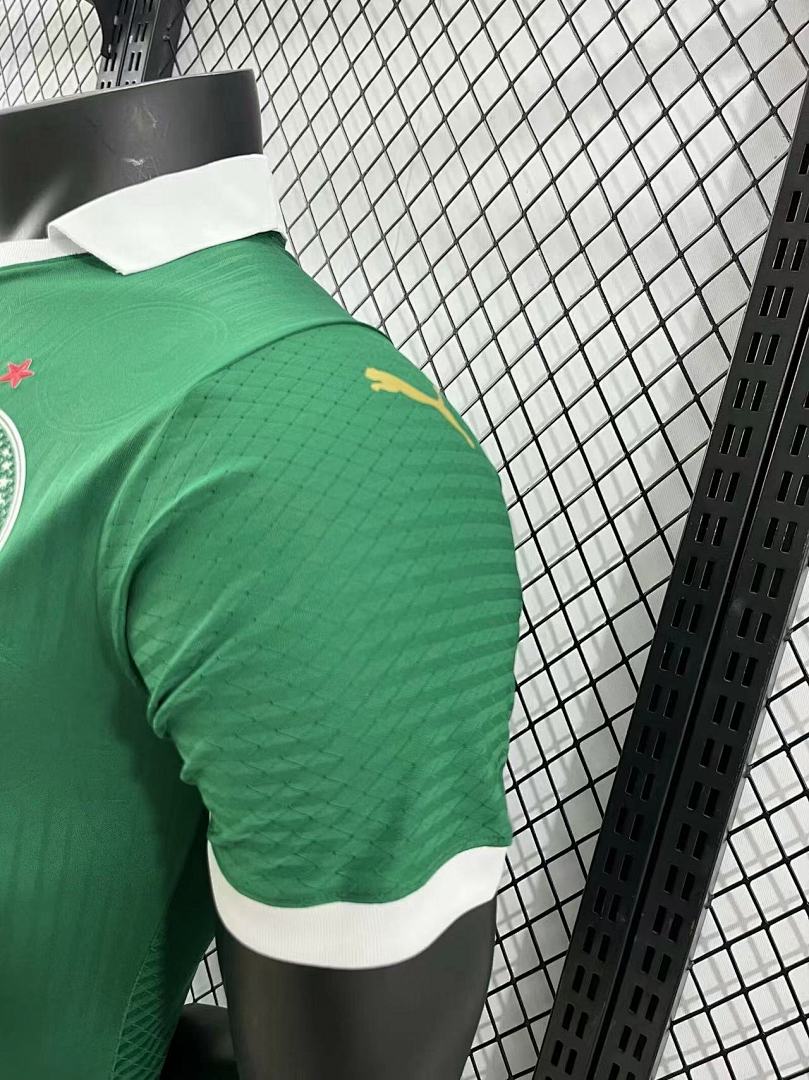 Palmeiras 24/25 Home Football Shirt