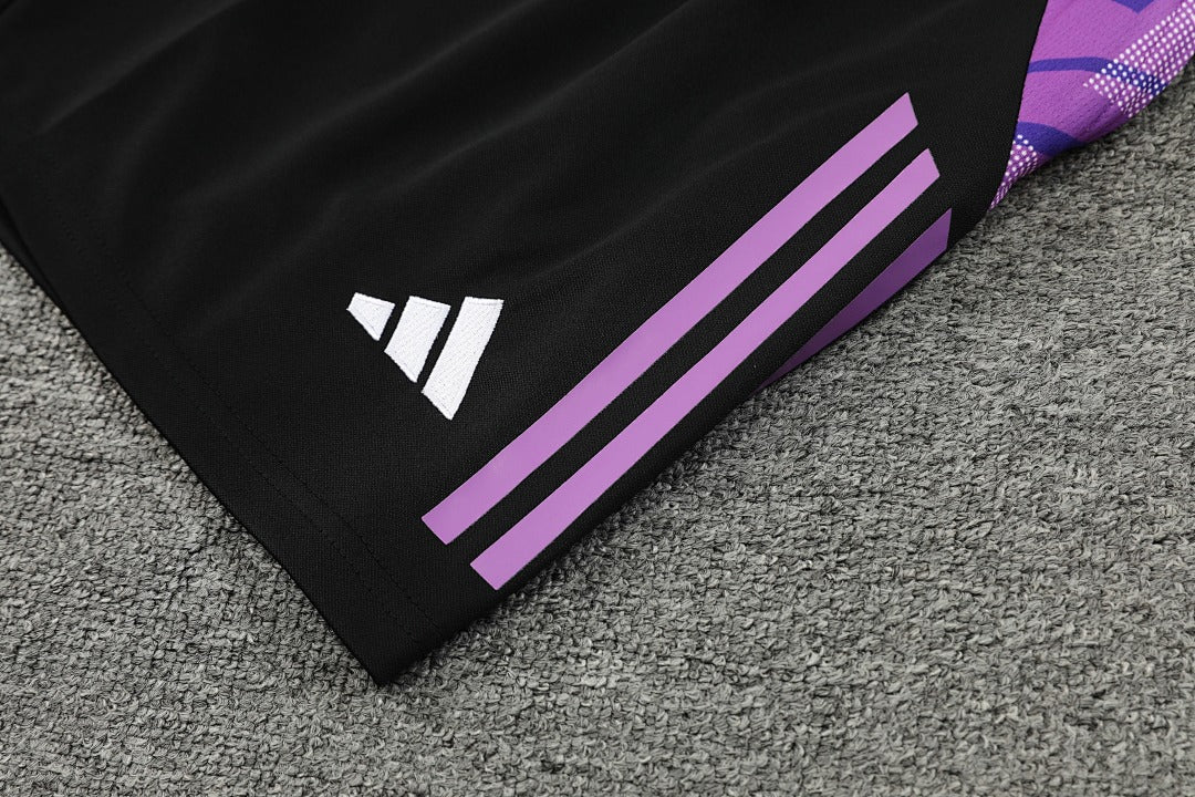 Germany 24/25 Training Shirt
