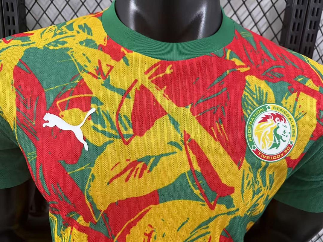 Senegal 24/25 Special Edition Football Shirt